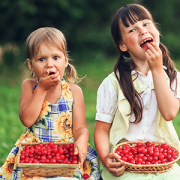 two girls eating cherries