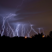 lightning over trees