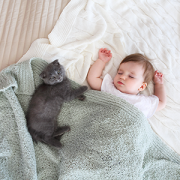 little girl sleeping with cat