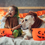 child and dog on bed in halloween costumes