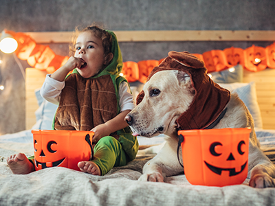 child and dog on bed in halloween costumes