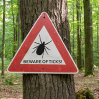 Tick insect warning sign