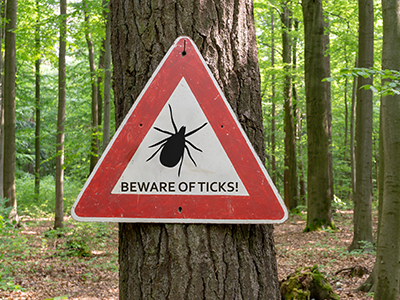 Tick insect warning sign