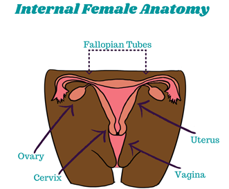 Vaginal discharge: What teenagers need to know - Graphic Online