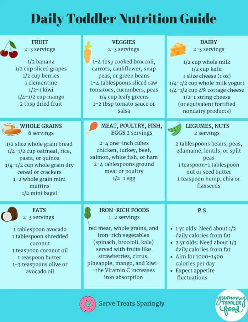 toddler nutrition guide
