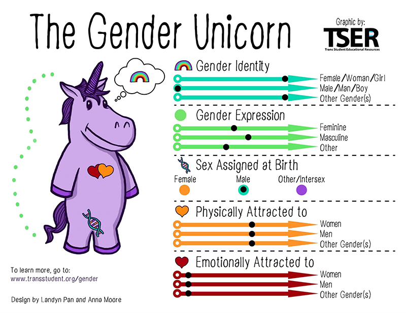 The Gender Unicorn