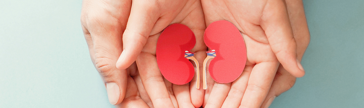 hands holding paper cutouts of kidneys