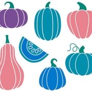 illustration showing different colored pumpkins