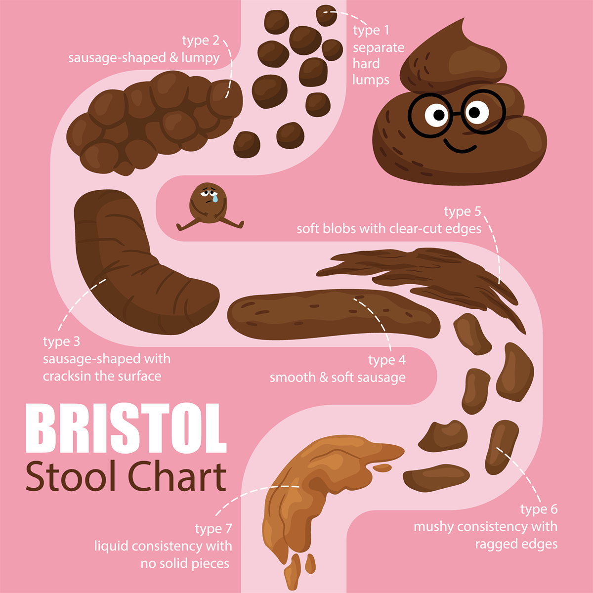 Bristol Stool Chart